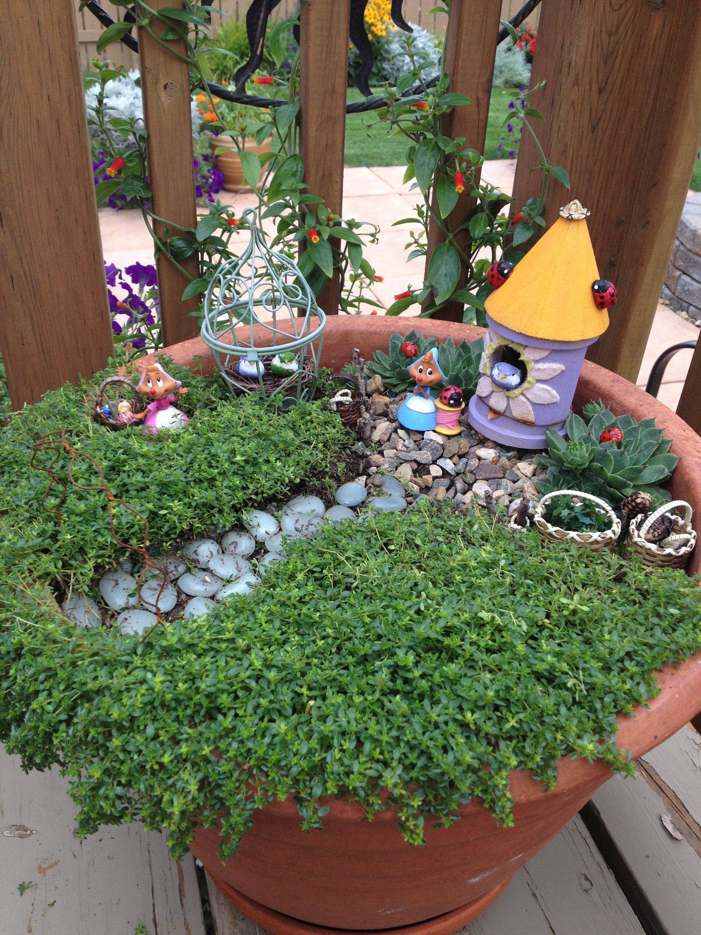 Fairy Garden