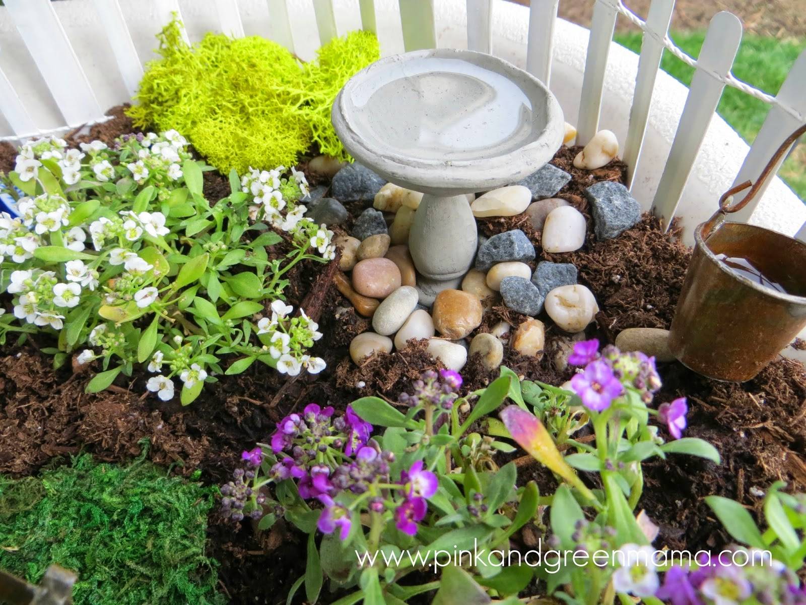 Simple Fairy Garden