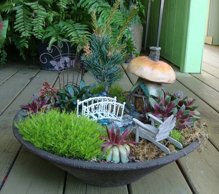 Simple Fairy Garden