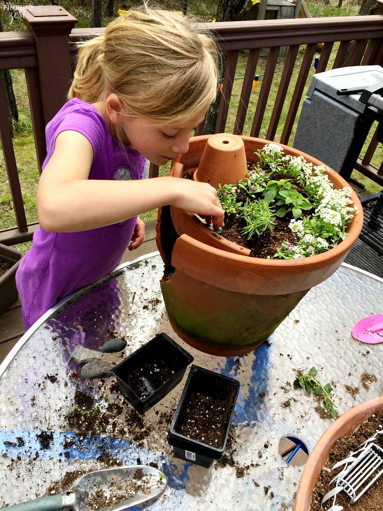 Beautiful And Easy Fairy Garden Ideas