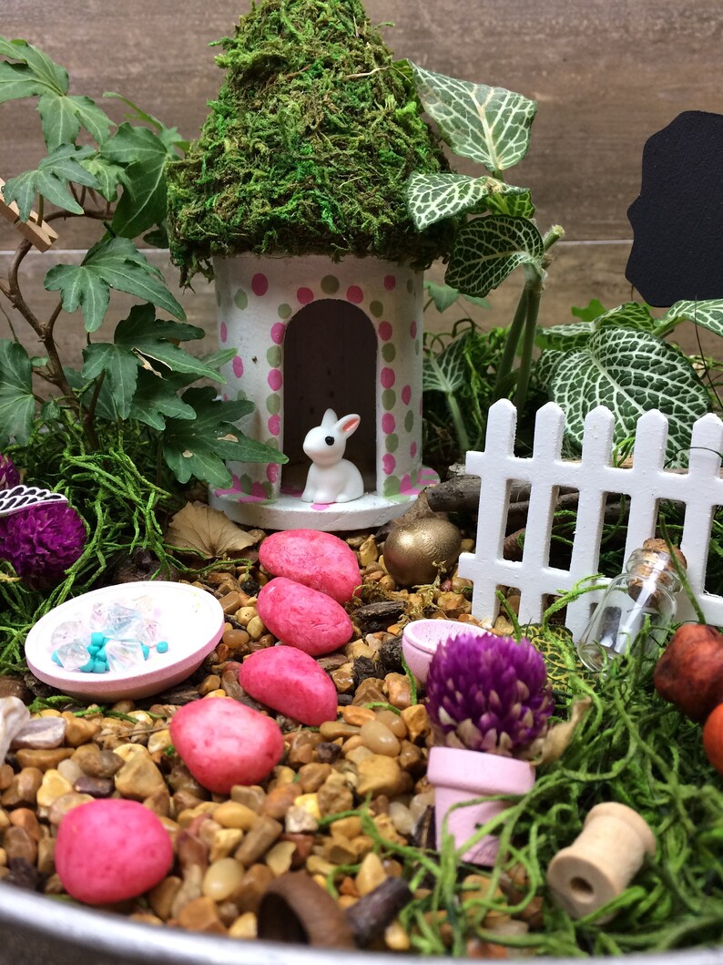 Complete Fairy Garden Kit