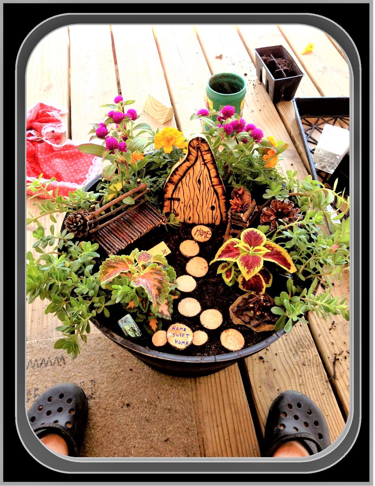 Fairy Garden Party Kit Succulent Fairy Garden Kit Plant