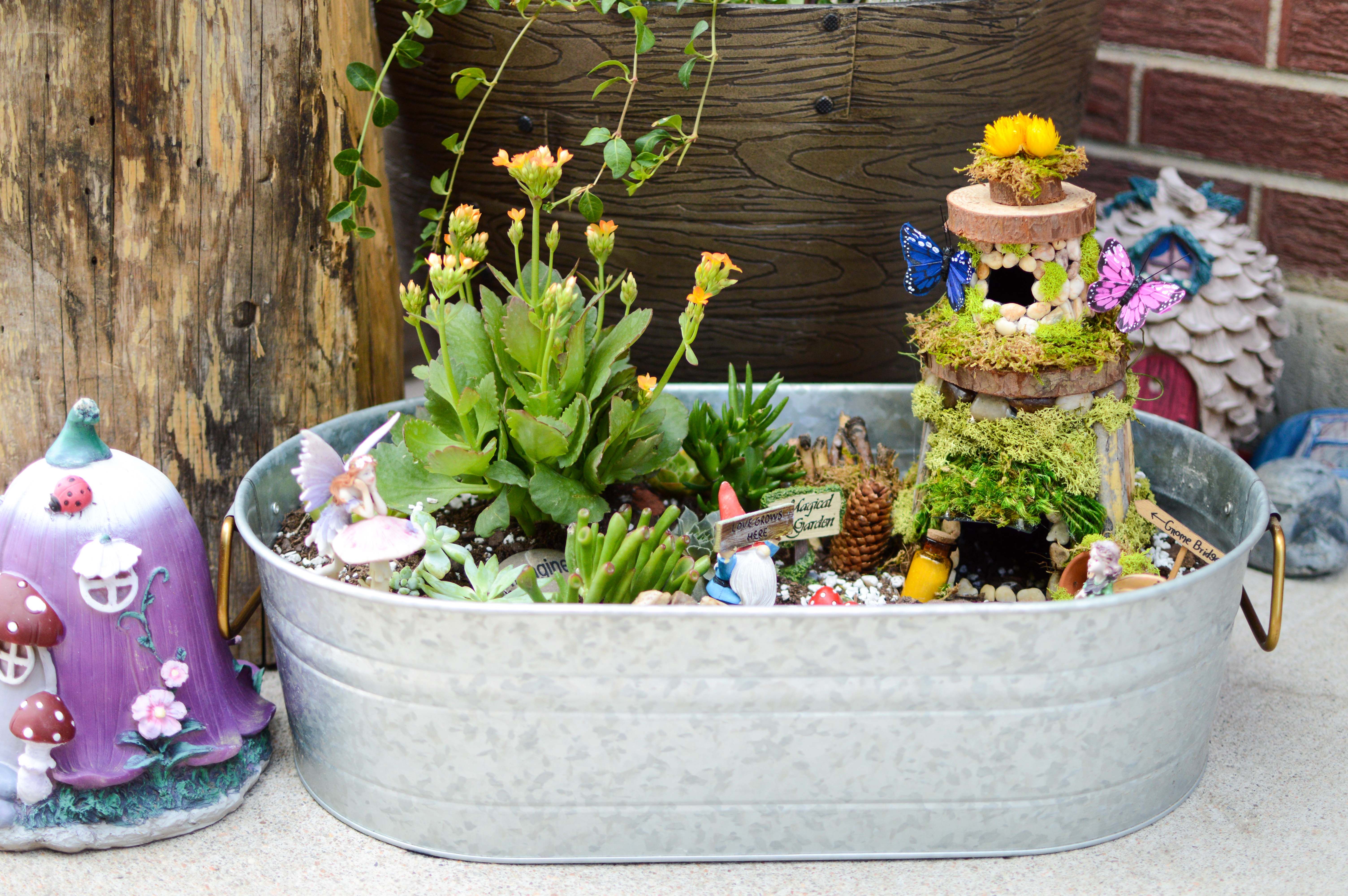 Fairy Gardens