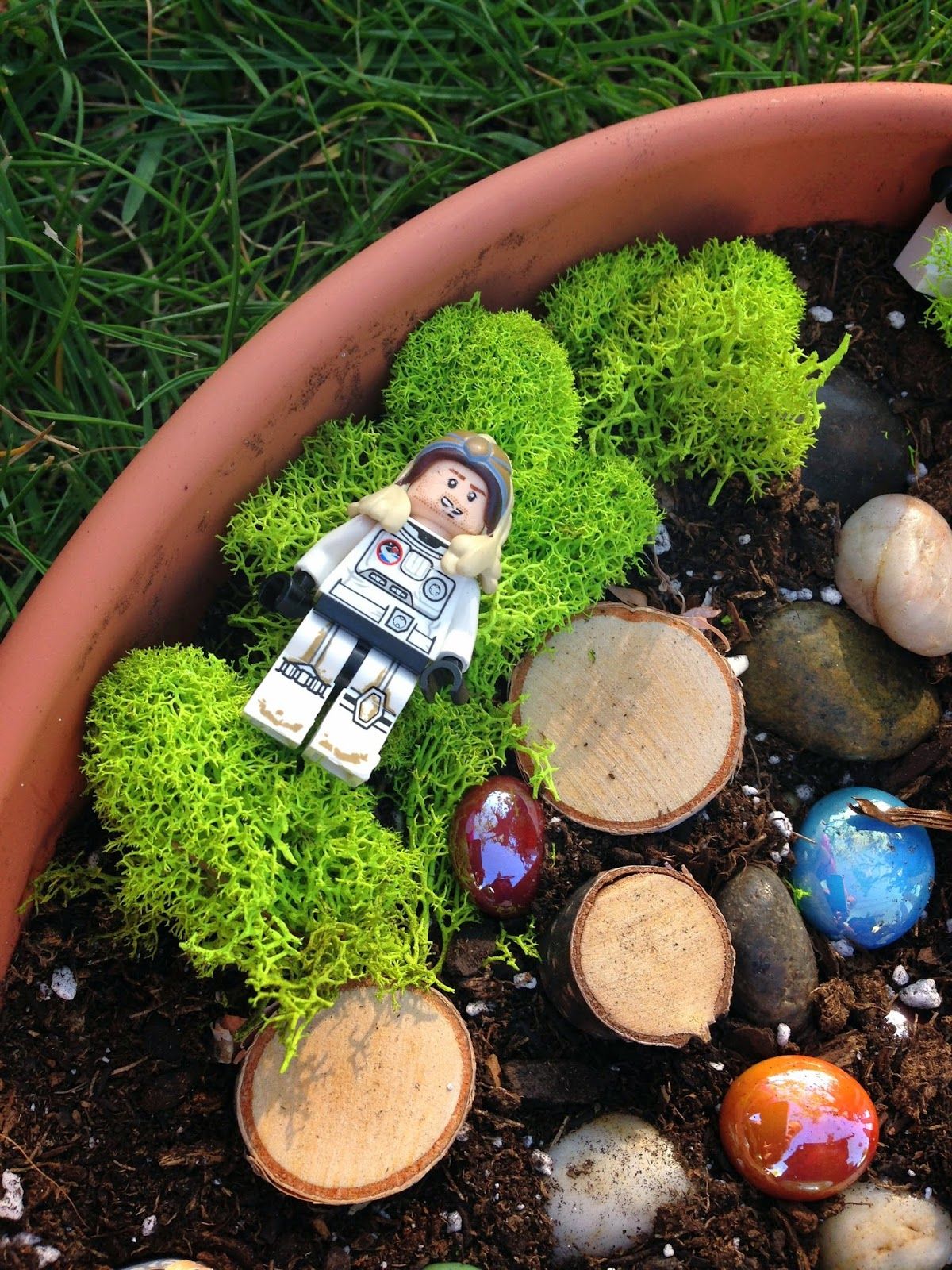 Beautiful And Easy Fairy Garden Ideas
