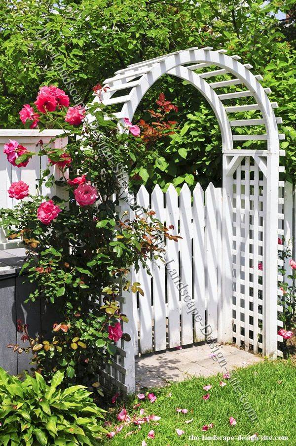 Arbor Gate Ideas