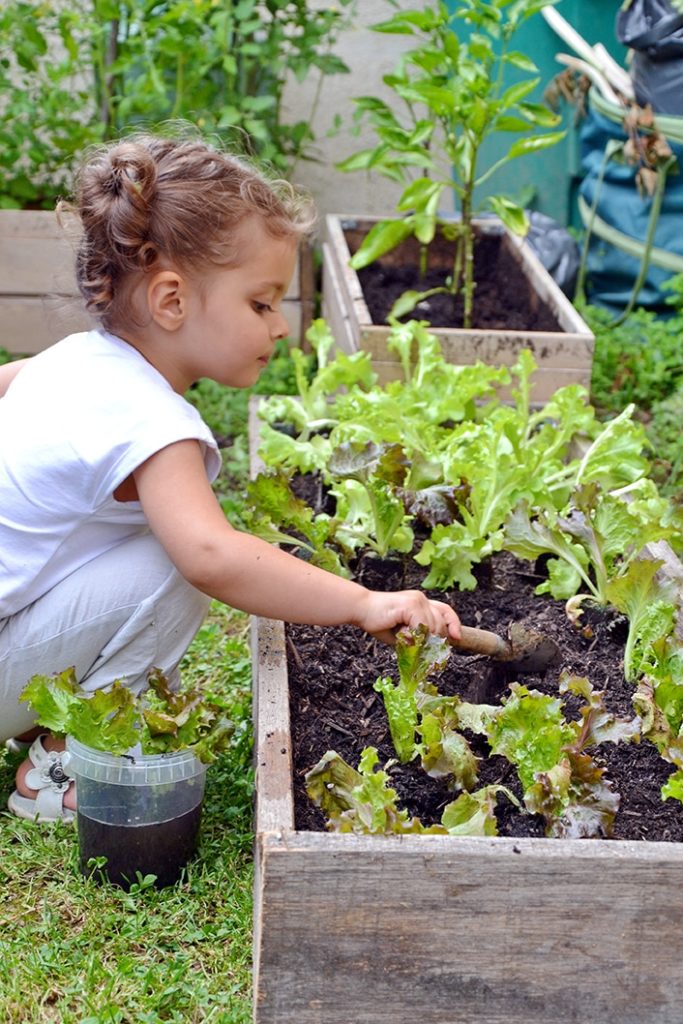 Kids Gardening Guide