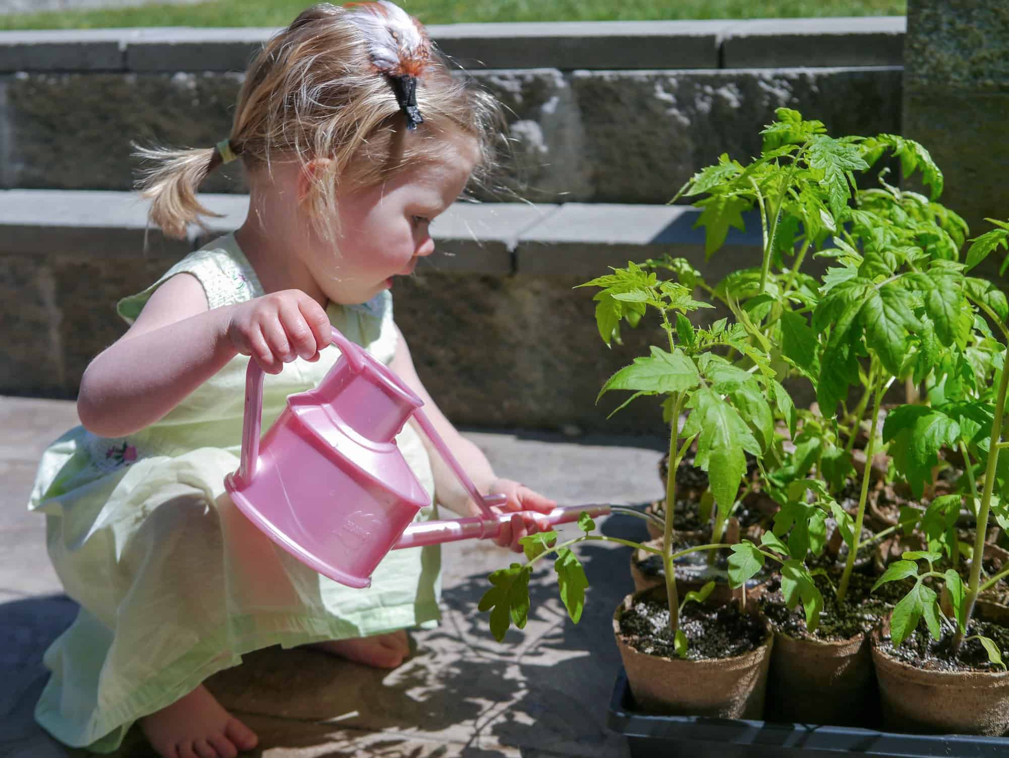 Simple Gardening Lesson