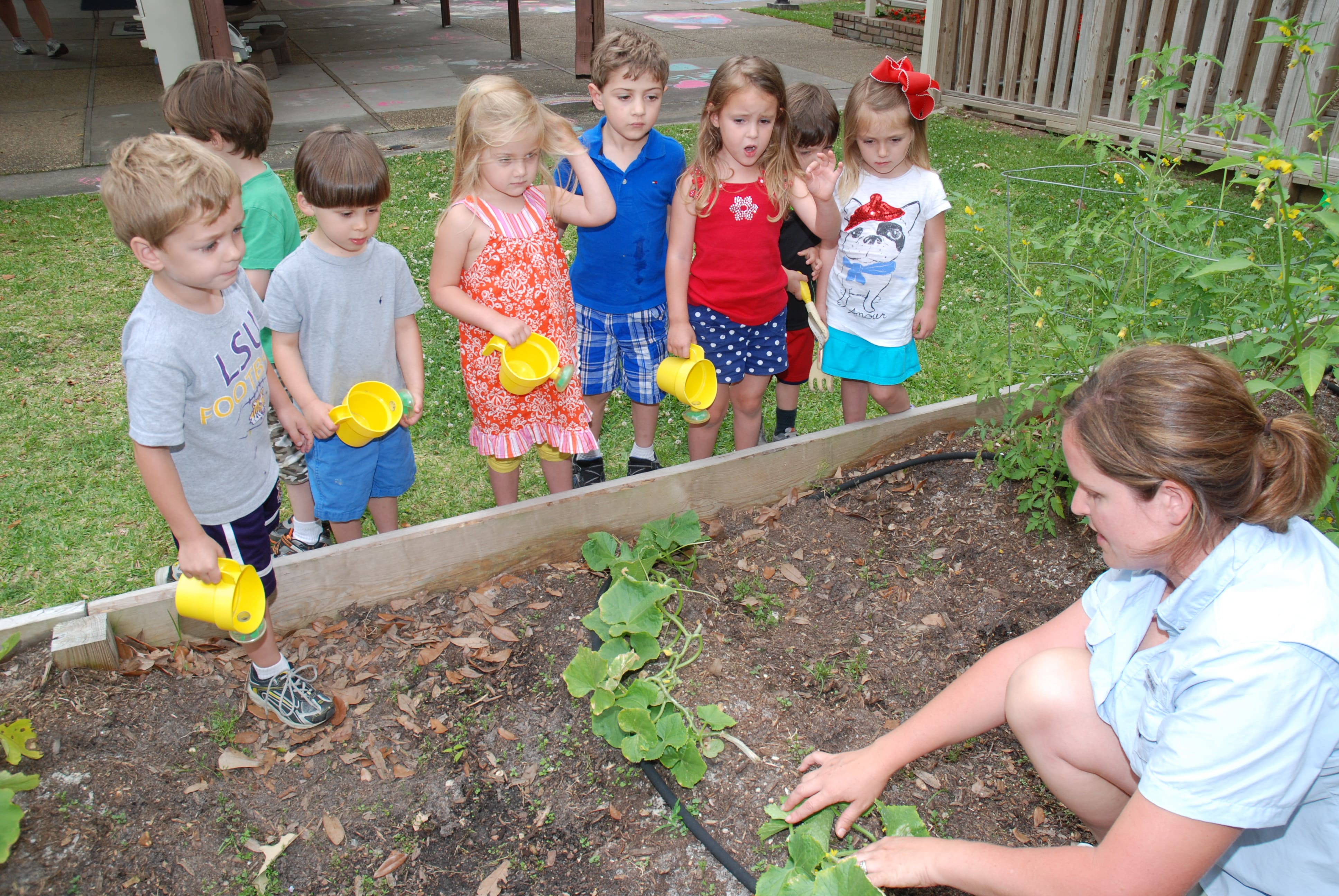 Volunteering Activities