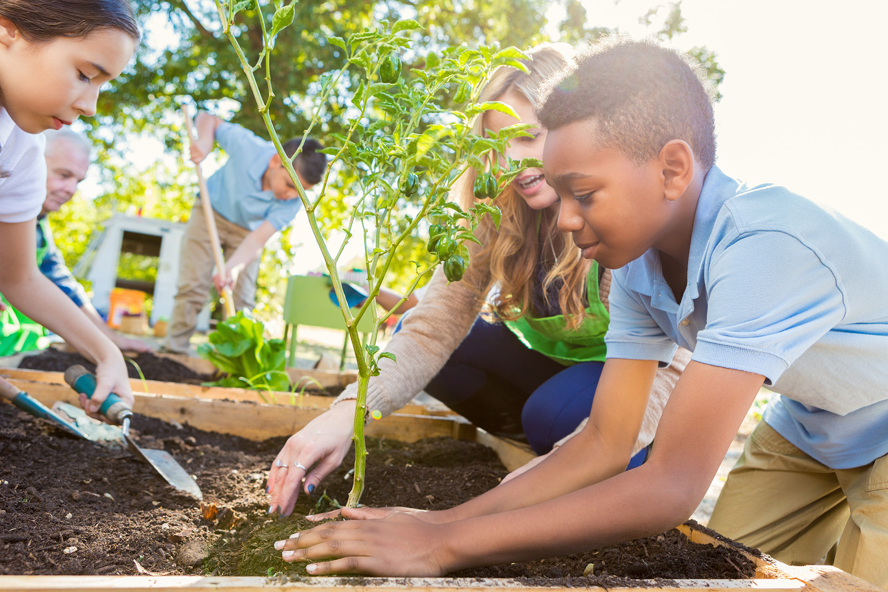 Fun Winter Gardening Activities