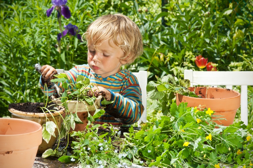 Gardening With Kids Part I Global Montessori School