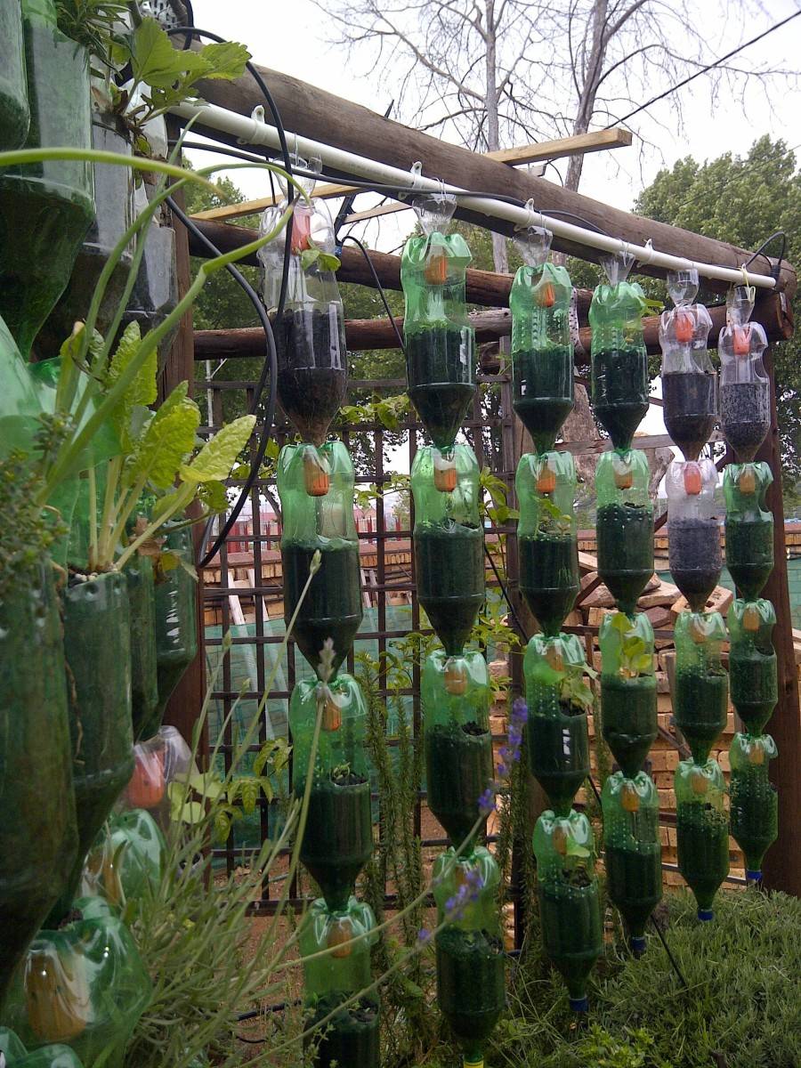 Brilliant Plastic Bottle Garden Ideas