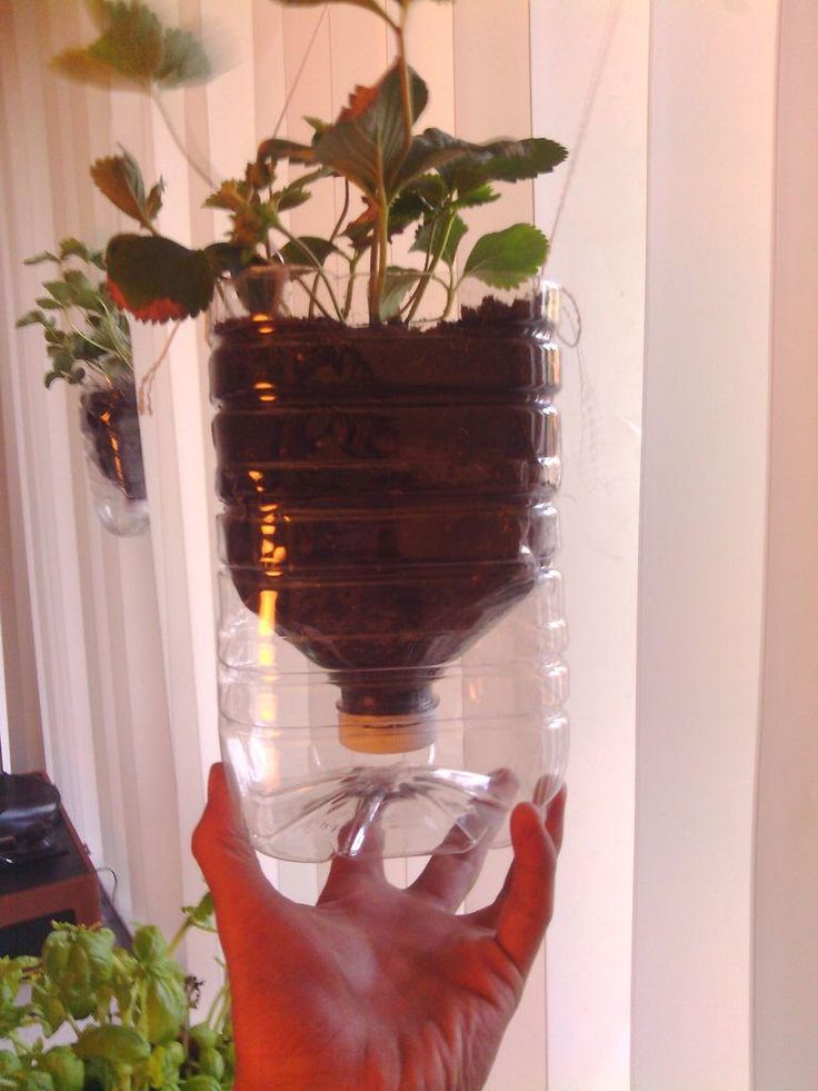 Plastic Bottle Planter