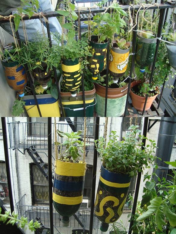 Plastic Bottle Planter