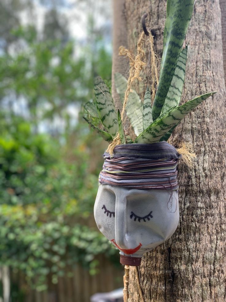 Plastic Bottles Hanging Flower Gardenplastic Bottles Garden Ideasdiy