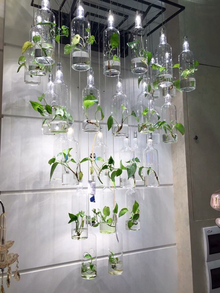 Plastic Bottles Hanging Flower Gardenplastic Bottles Garden Ideasdiy
