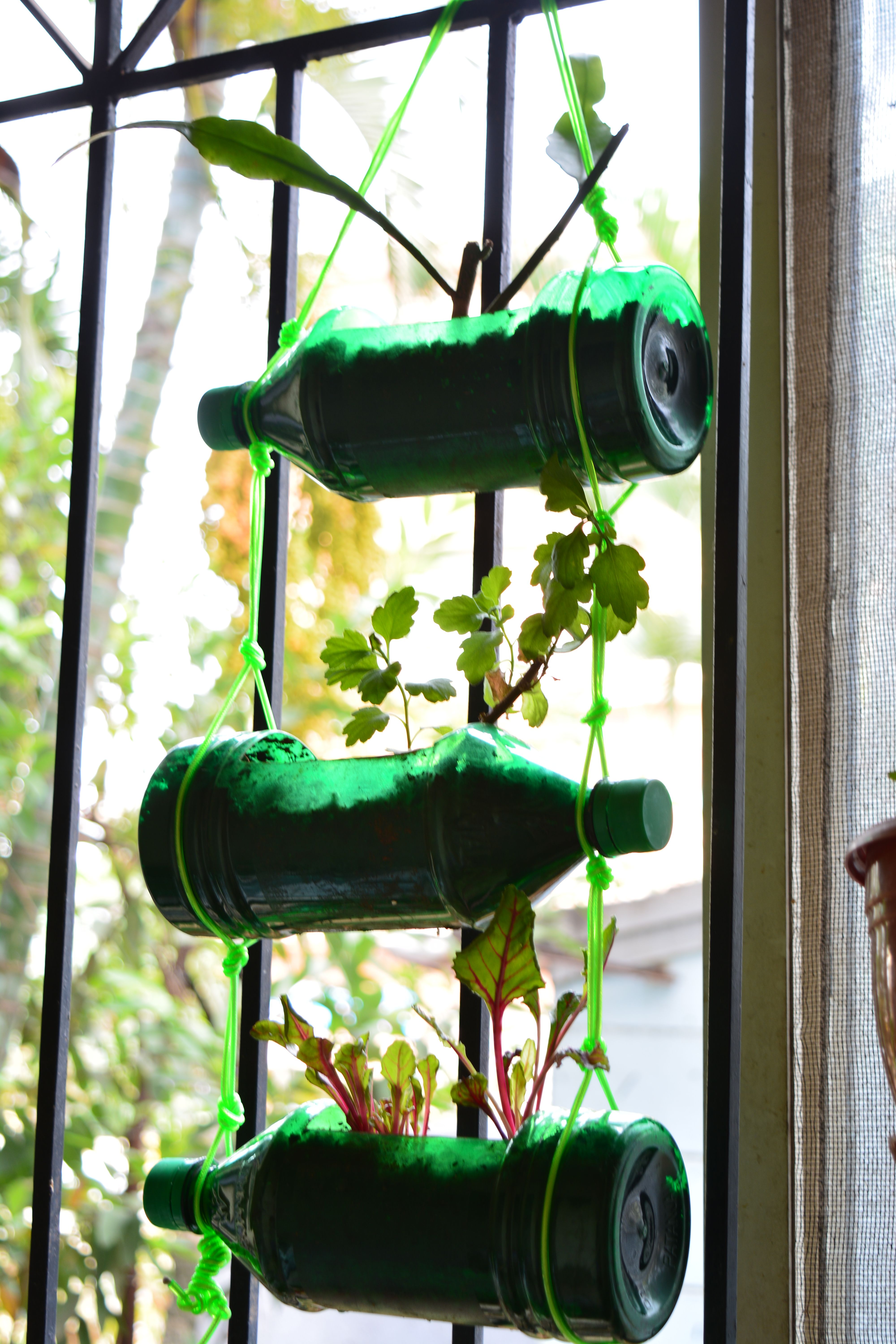Plastic Bottle Planter