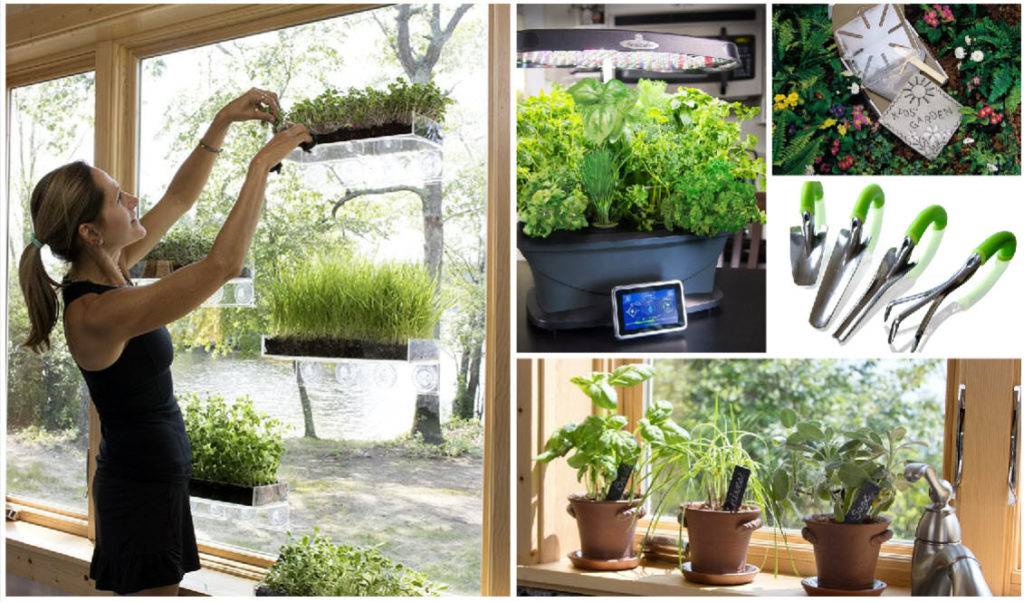 Creative Container Gardening Ideas Hative