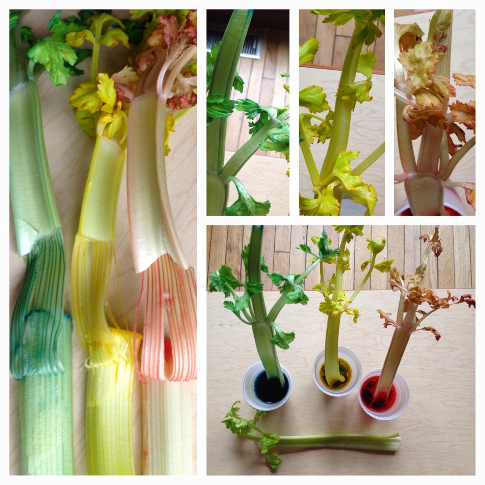 Spring Room Tour