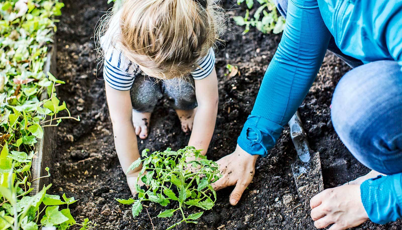 Awesome Gardening Ideas