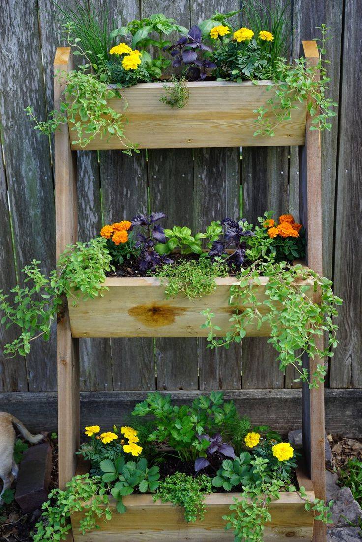 Volunteering Activities