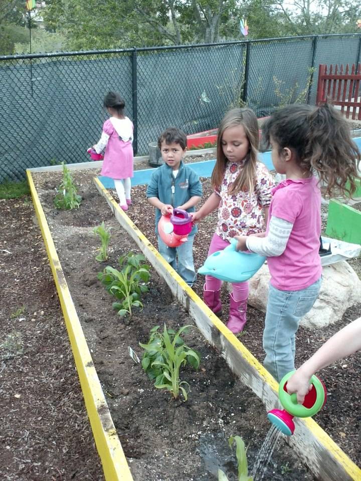 A Kitchen Garden Healthy Kids