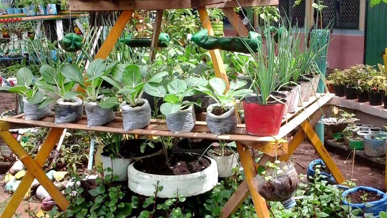 Sustainable School Teaching Garden