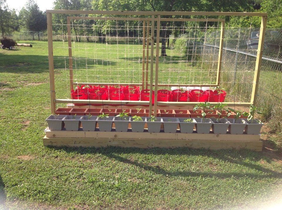 These Selfwatering Planters