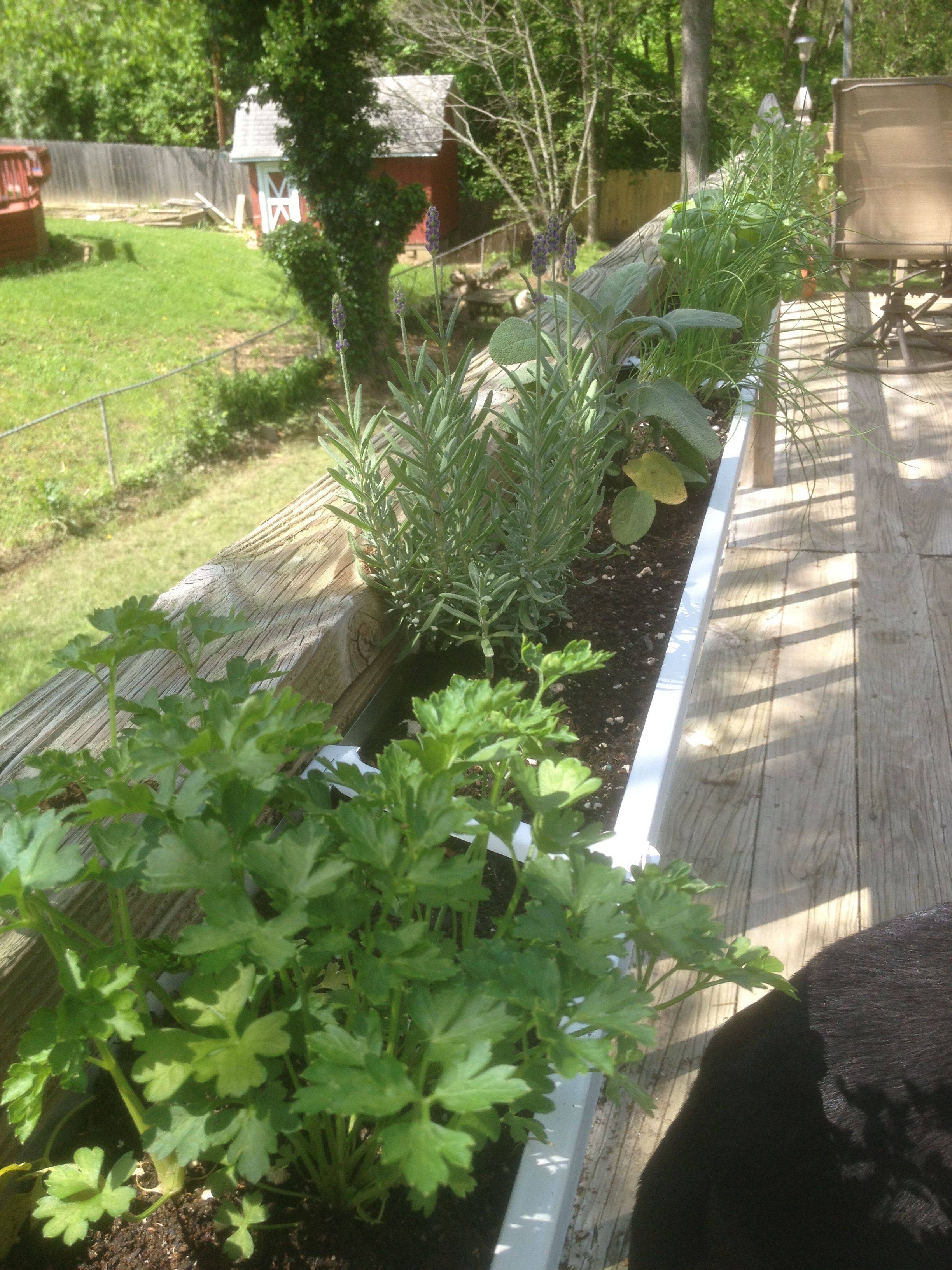 Creative And Innovative Rain Gutter Garden Ideas