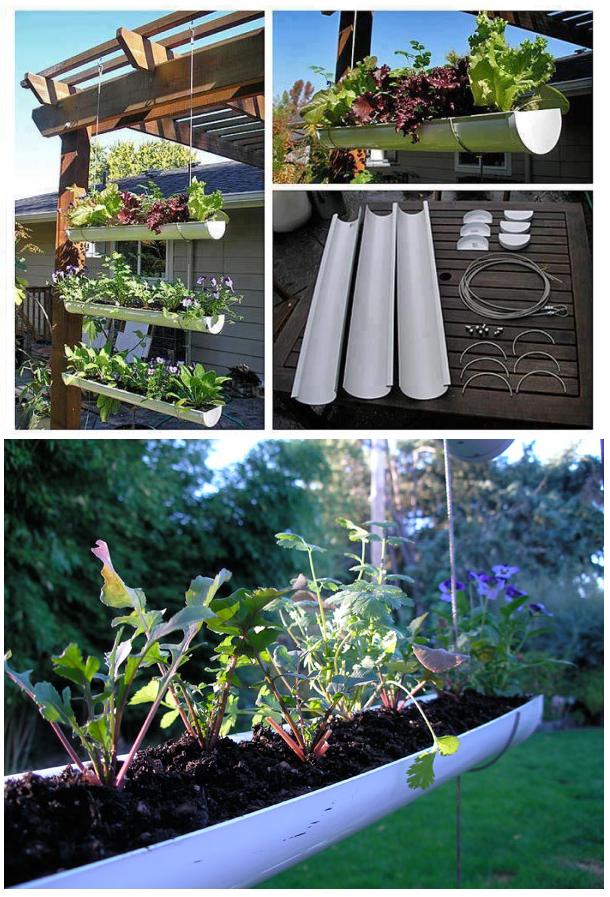 Easy Diy Gutter Garden Ideas