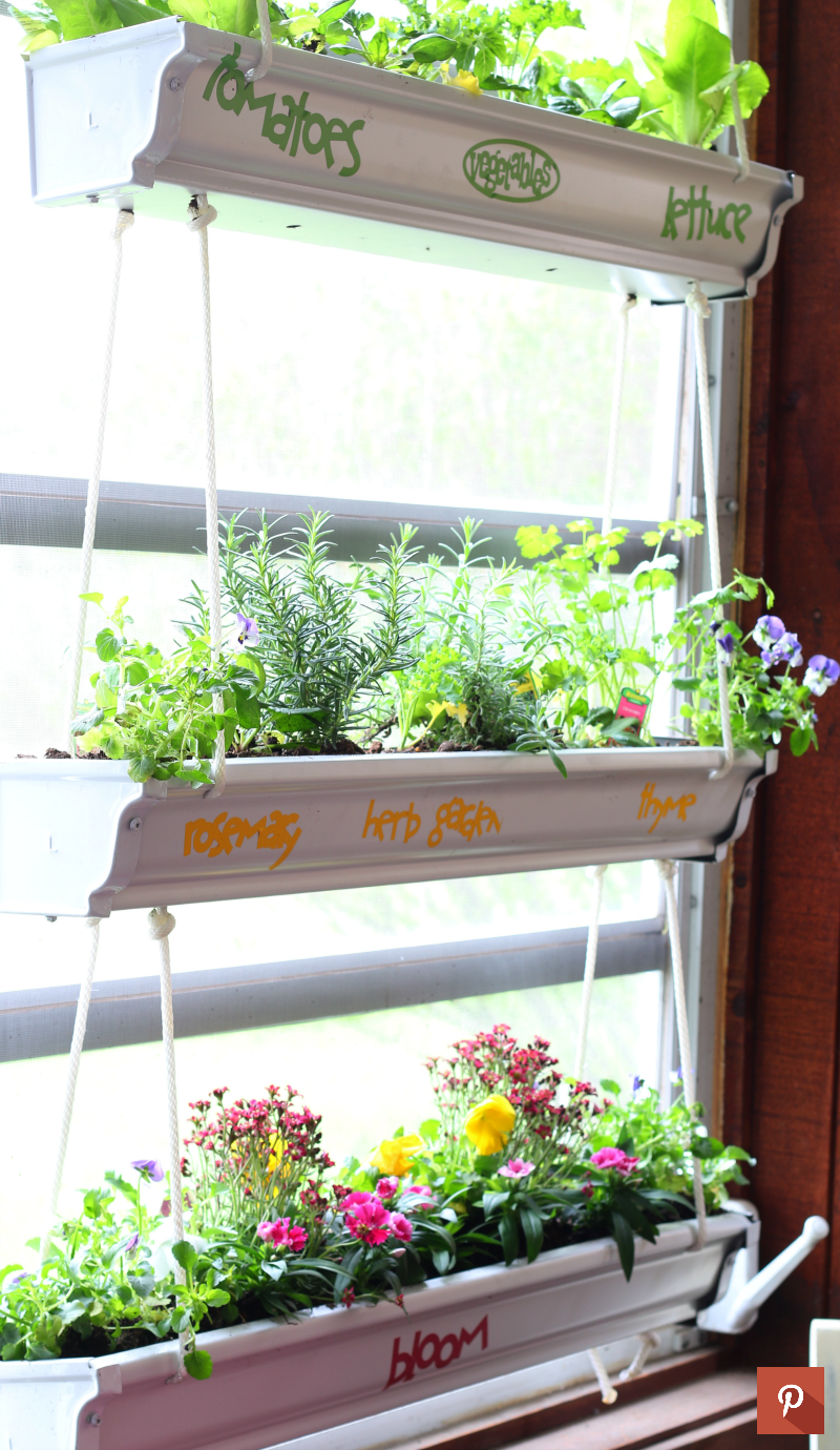 Vertical Garden Diy