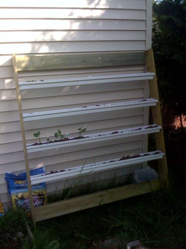 Best Diy Vertical Rain Gutter Garden Ideas