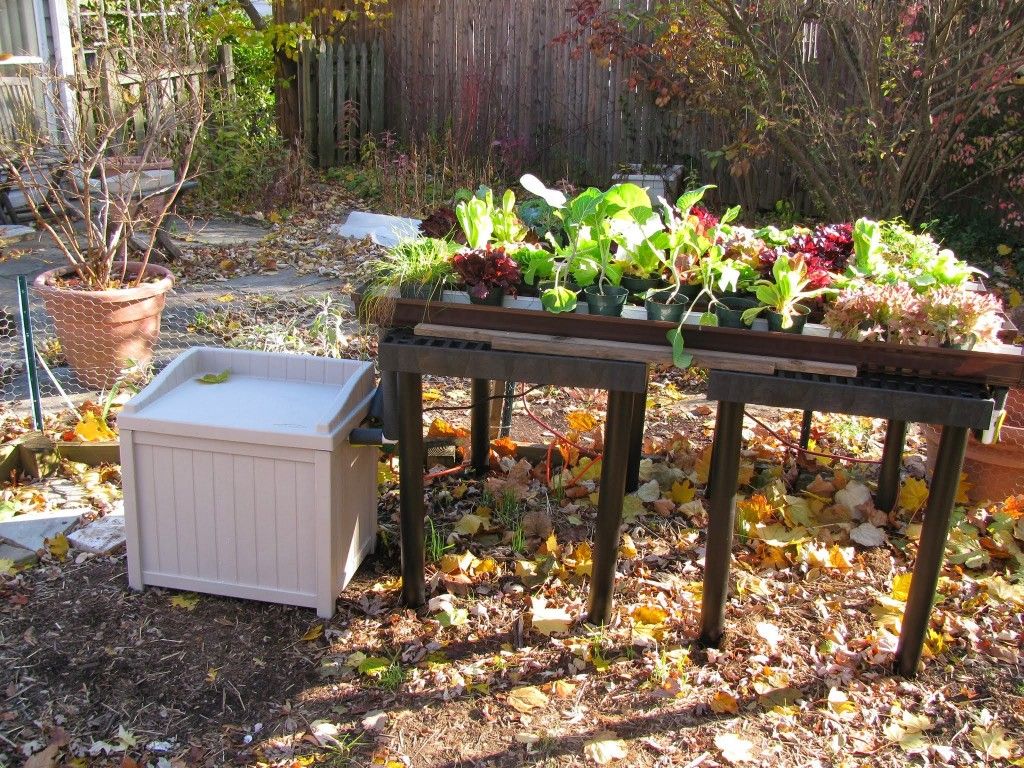 Clever Rain Runoff Garden Yard Ideas