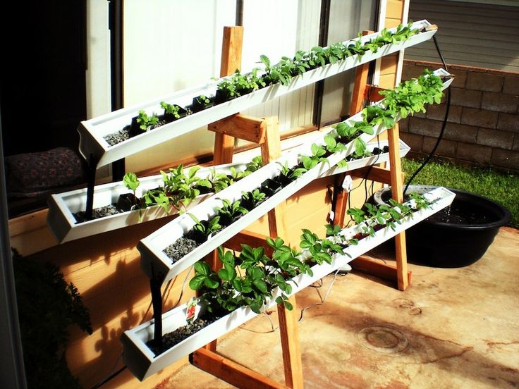 A Rain Gutter Grow System Pallet Greenhouse