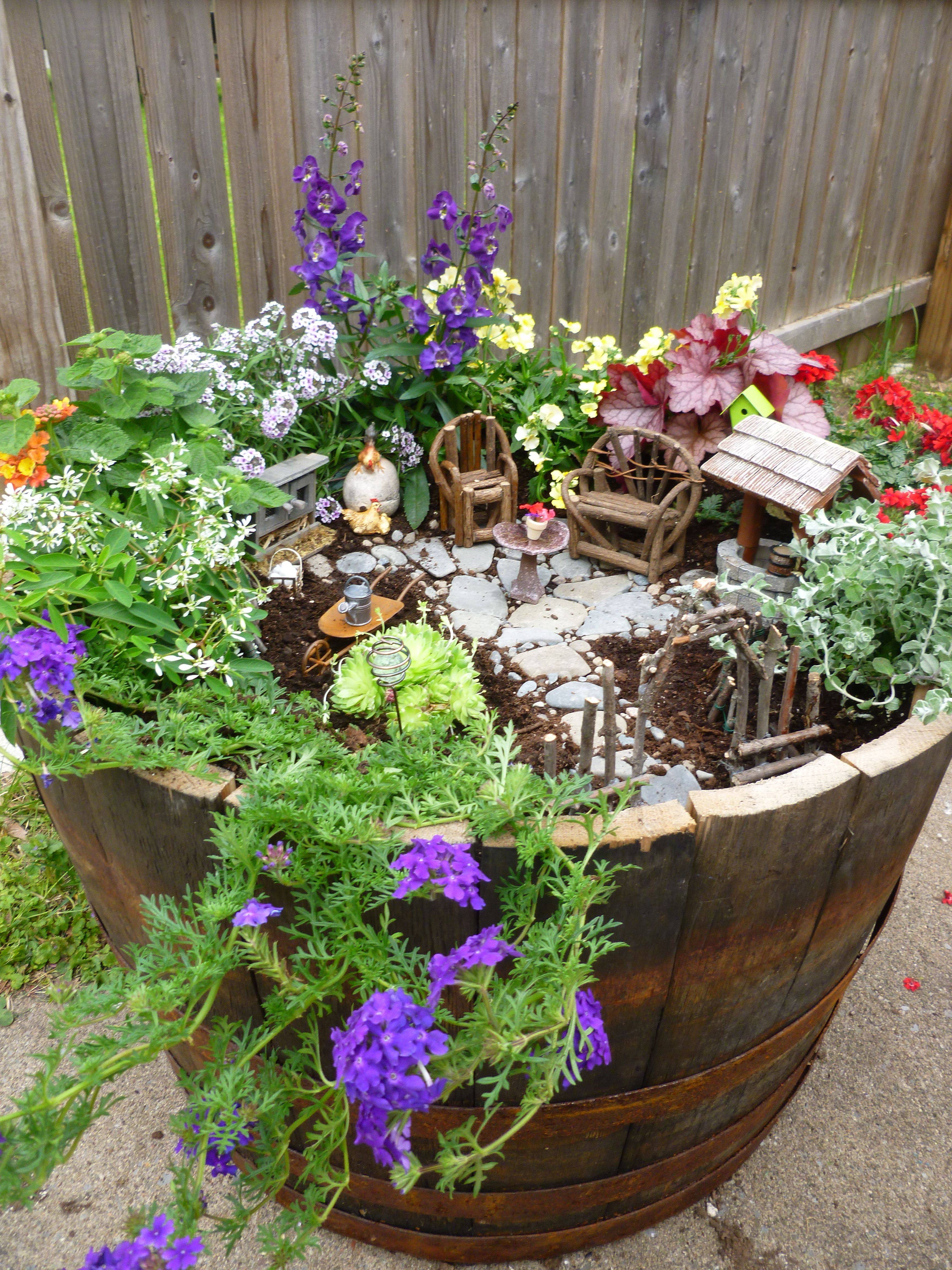 Beautiful Fairy Garden Plants Ideas