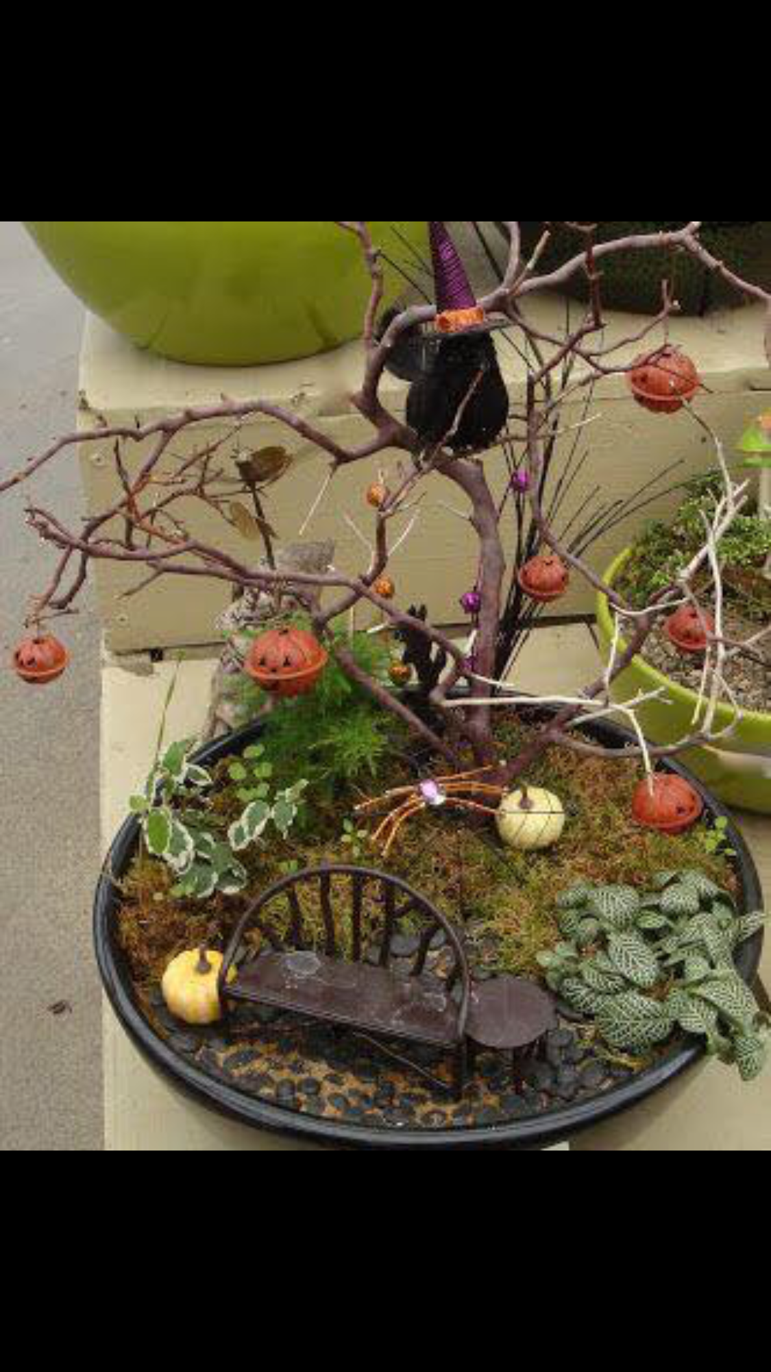 Enchanted Garden Baby Butterflies Set