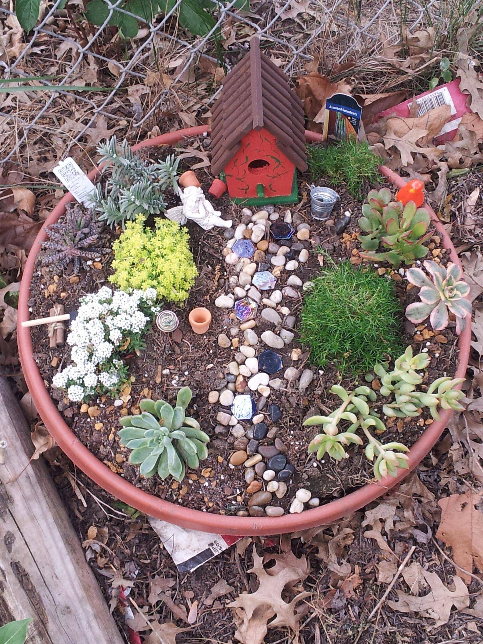 Secret Gnome Garden Plants Succulents Fairy Garden Dragon Pebble River