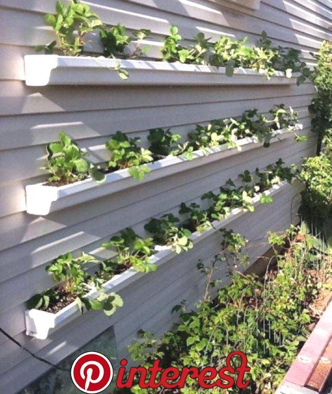 Episode Container Gardening Growing A Greener World