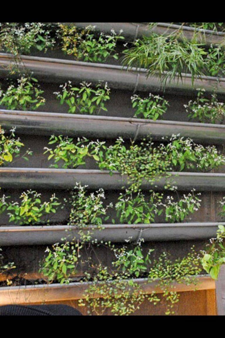 Rain Gutter Garden Ideas