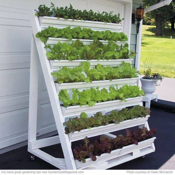 Vertical Diy Rain Gutter Garden Ideas