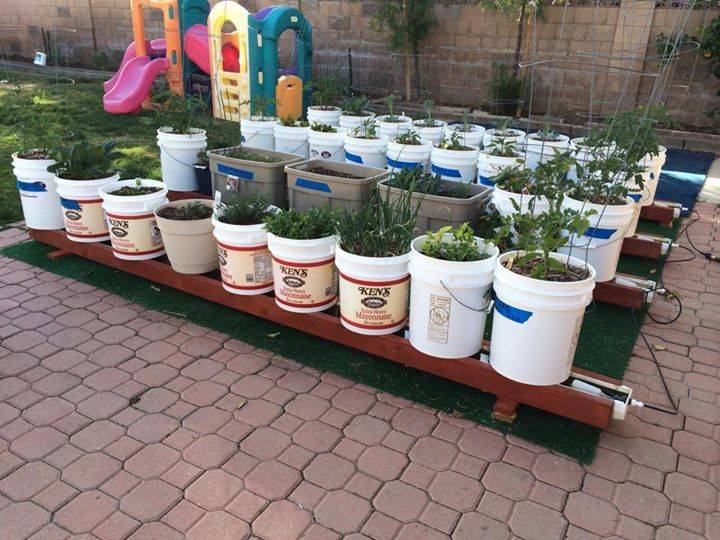 Self Watering Rain Gutter Grow System