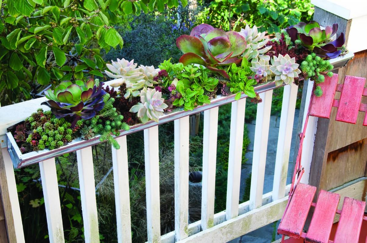 These Inventive And Affordable Gutter Garden Ideas Garden