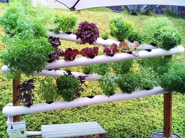 Rain Gutter Garden Ideas