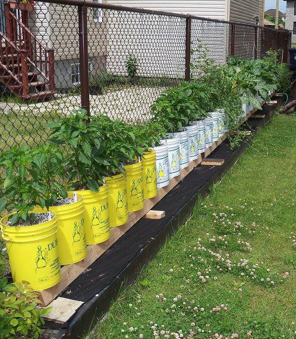 Vertical Diy Rain Gutter Garden Ideas