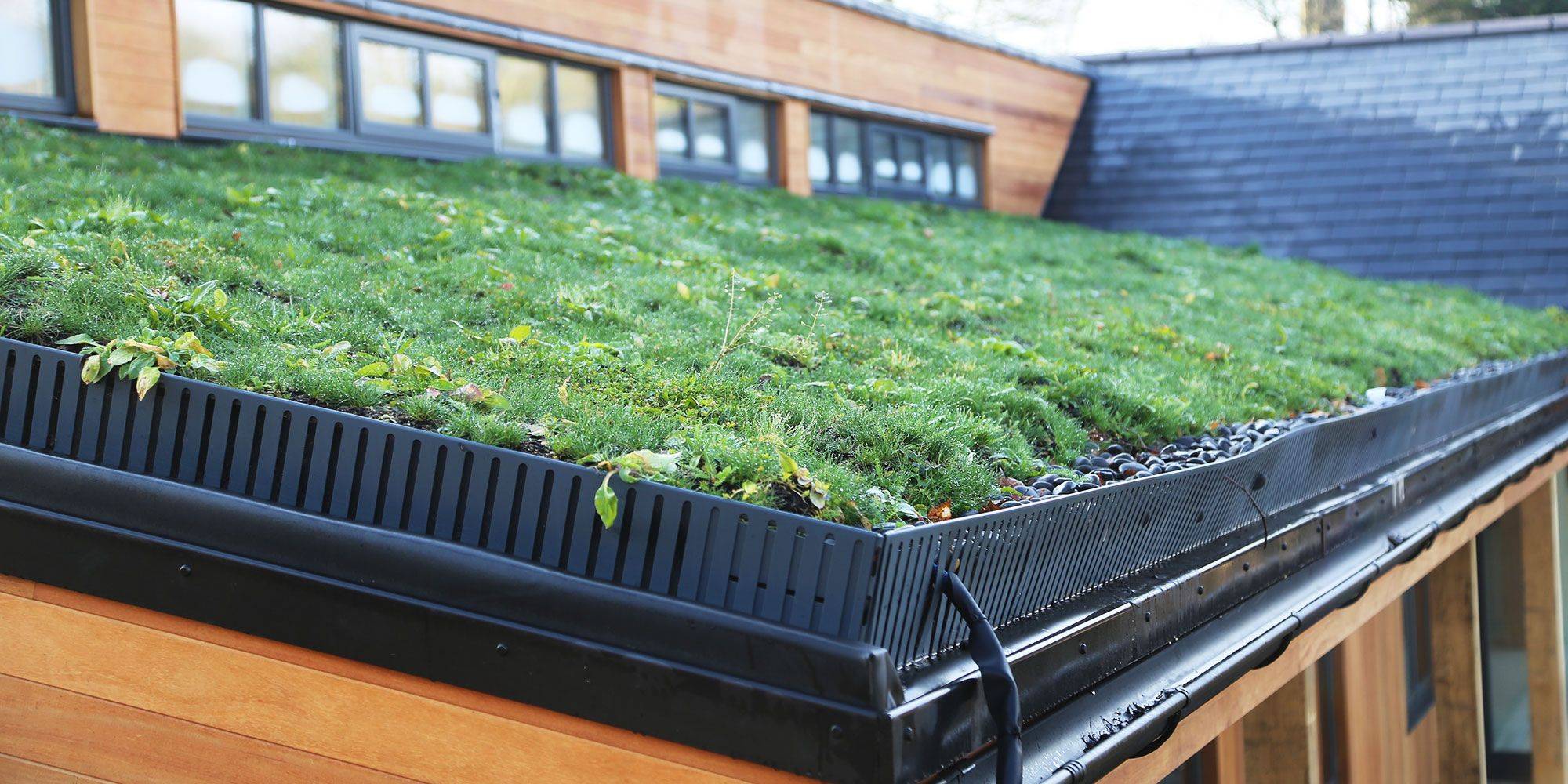 Easy And Neat Rain Gutter Garden Gutter Garden