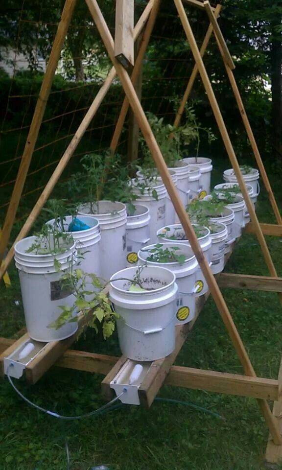 Tijesp Rain Gutter Garden System