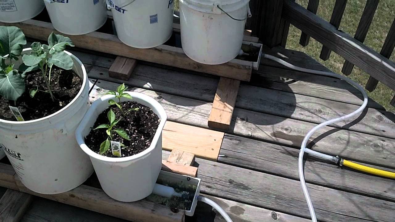 18 Lowes Rain Gutter Garden Ideas You Should Look SharonSable