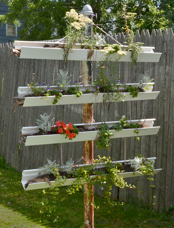 Rain Gutter Garden Ideas