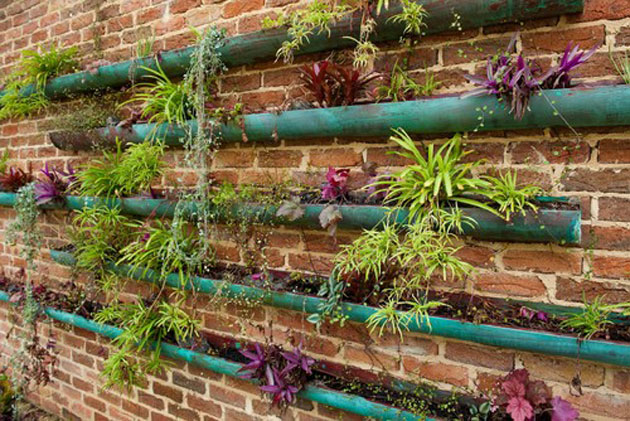 A Bold And Beautiful Rain Gutter Garden