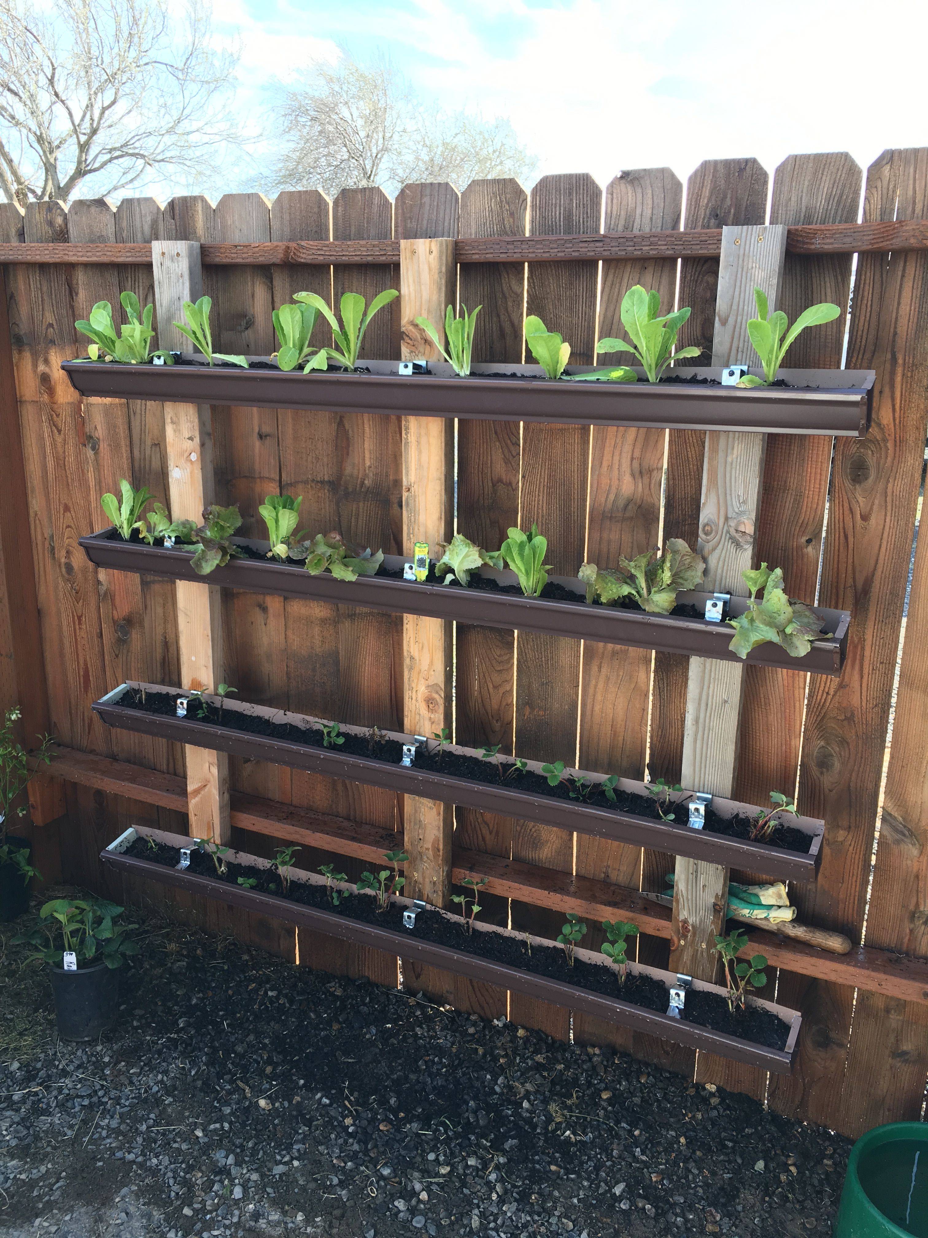 Creative And Innovative Rain Gutter Garden Ideas