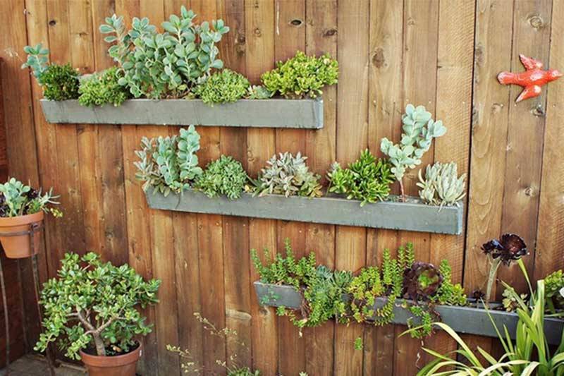 Easy And Neat Rain Gutter Garden Ideas